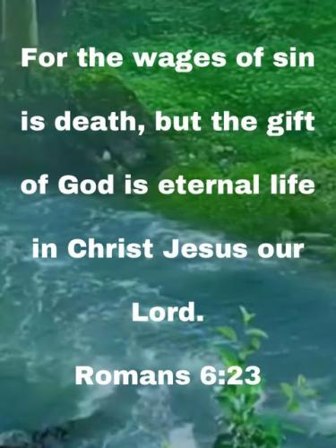 856595e2-f1fe-4cef-a285-2f82be646176