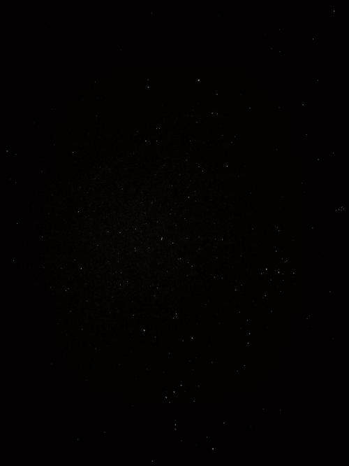 443F2F79-591C-4D51-878E-62DAA5D817C0