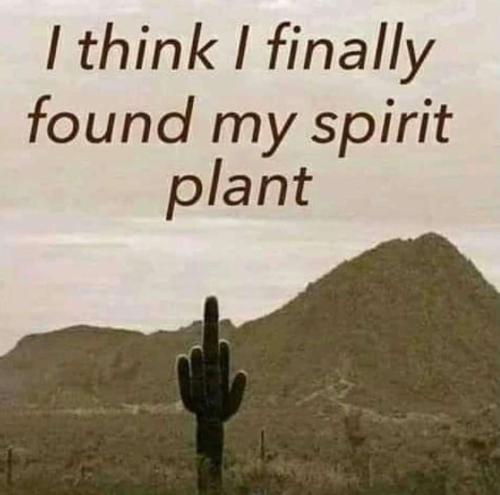 814f5b25-dd94-4b4c-9372-1810e1c439a6