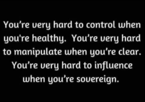 Screen Shot 2022-04-14 at 7.57.48 PM