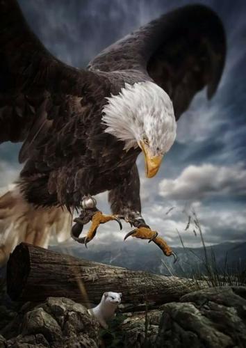 10:10:23 GMT-0500 (CDT)