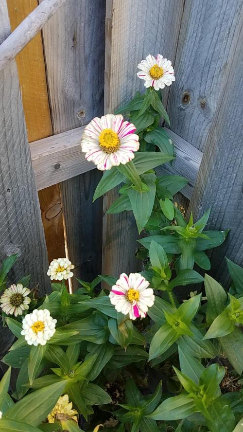 b2752d23-452c-4d37-b027-b2a9c5ee6d16