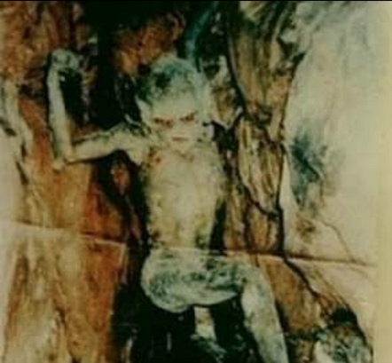 Screen Shot 2021-07-27 at 12.55.11 PM