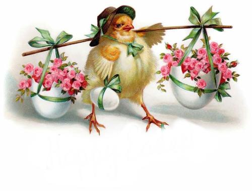 received_382745920396584_kindlephoto-176919372