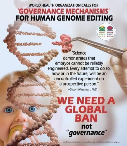 Human Genome Editing 1