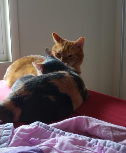 8eef963e-1693-4da7-9847-0dd108b15e7a