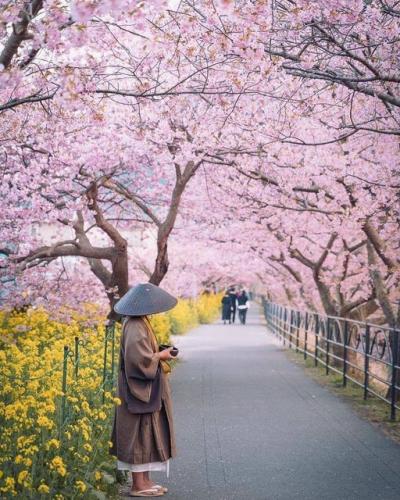 277561032_522919145870759_4785011121175128422_n