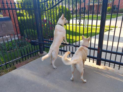 b4f749a6-cfb0-4ae0-b3f9-7cf767fbd50b