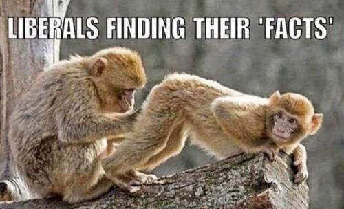 828d8373-891e-4136-8814-e7cc7ccec73b