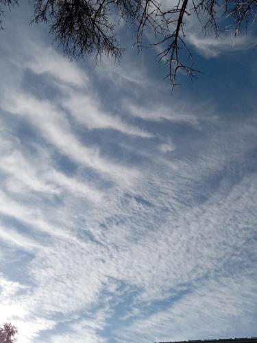 980171fc-7f60-4b65-bdfe-36b68df64d01