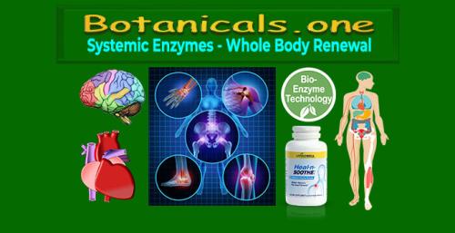 Botanicals.one - Systemic Enzymes
