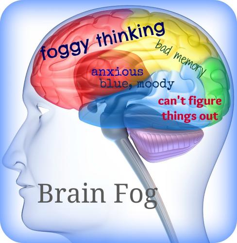 1D-PTSD and Brain Fog
