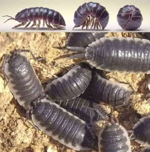 Screenshot_2022-05-07-20-07-06_kindlephoto-245109431