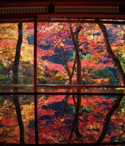 279931636_518226786598464_7619428325628103907_n