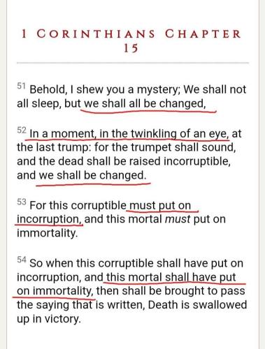 32ebb407-61e9-4527-a0e9-039930710bed