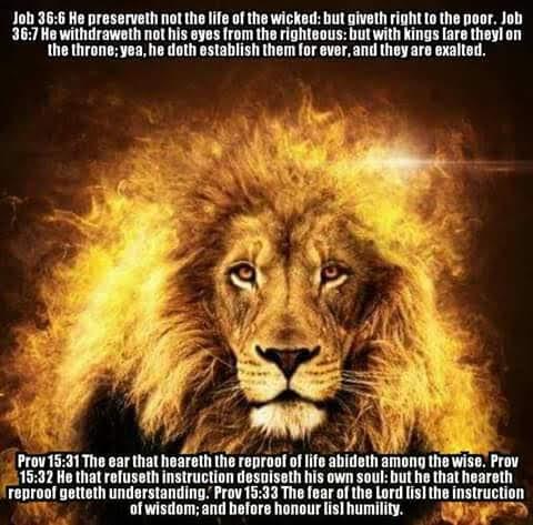 9ec9b843-aa4d-43ea-b1c3-6711b69316ab