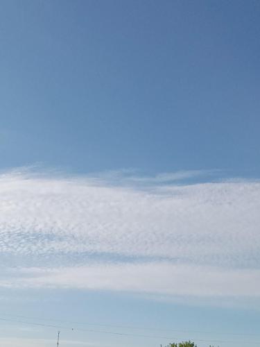 1b44076c-04bf-426e-b862-483ffd99dd7b