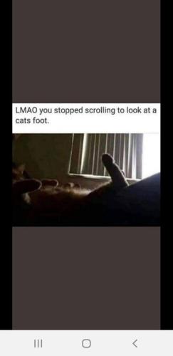 2c5e68a5-b090-4c20-83a0-26b1d3d7f934