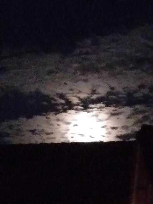 05c53aa6-2b23-4dff-b459-e4024c66364f