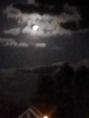 ebd6b076-e83d-46ac-bc24-c0467293e54c