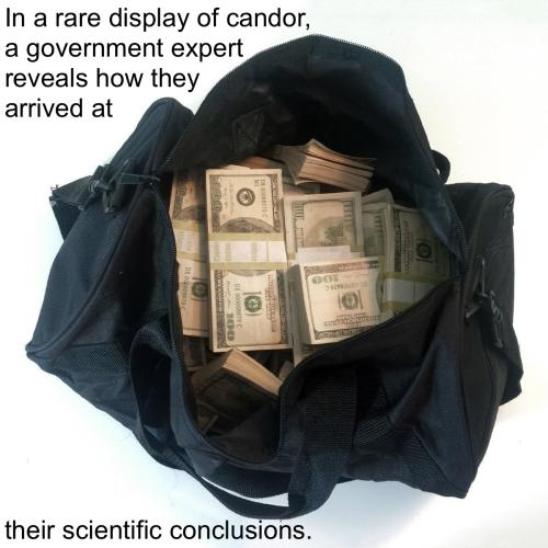 In a rare display of candor, a government expert reveals how they arrived at their scientific conclusions - prop movie money in duffel