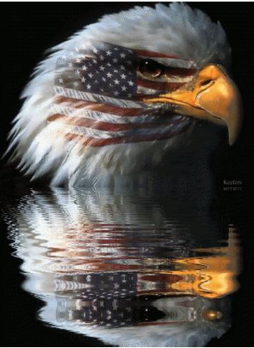 2a563d63-6498-46df-90cb-689a6d022136