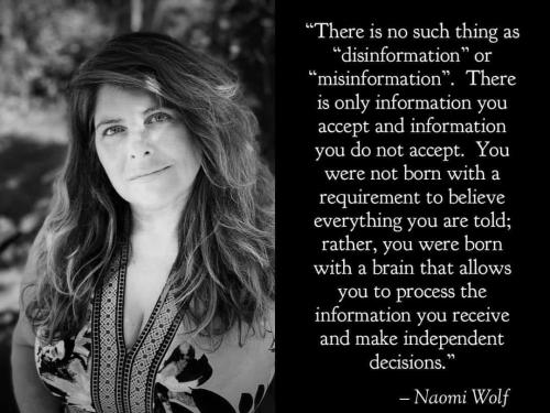 Disinformation 2