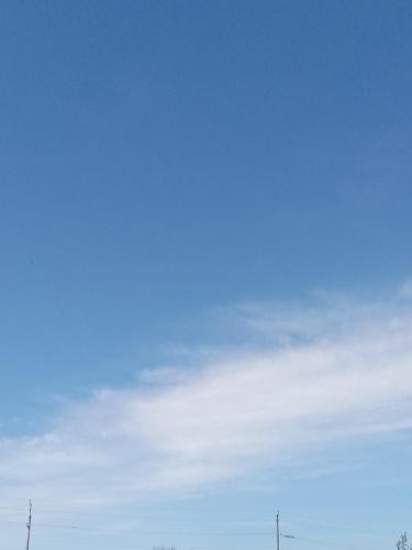 bc9fa1cb-310b-42ed-acd5-b6fee66dac21