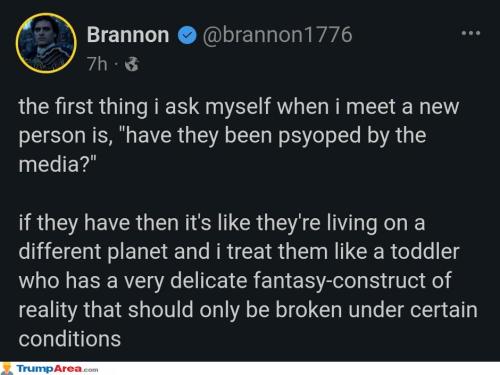 toddler-minds