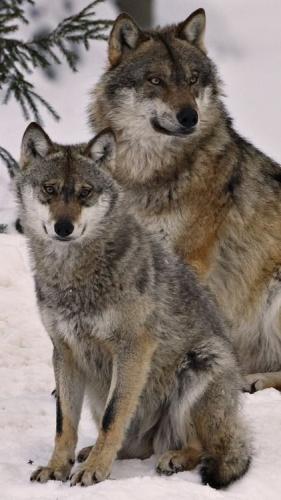 2bb9bba4b911a51bbfbc925f90fcb35c