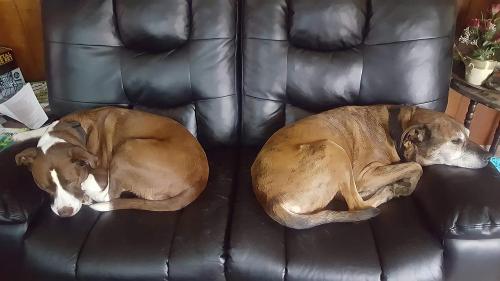 6913578c-1166-4acf-8136-fb35b594cf09