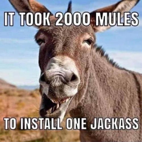 2000 mules09