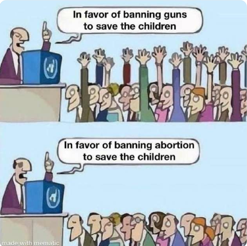 ban guns:abortion wim