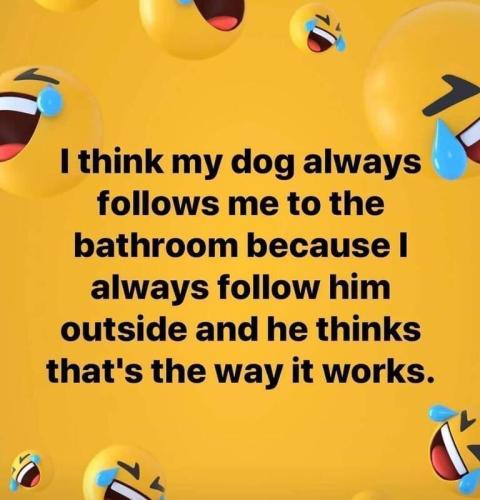 its the way it works