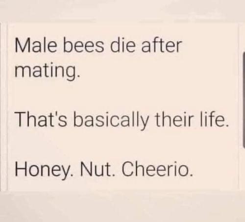 416CE163-BFA3-461F-B38A-4DF5EF00B0EC-11510-00001A8932AA8C7C