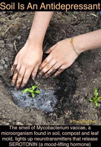 78909acd-5ccc-4ecd-8ee8-93c517b7f64f