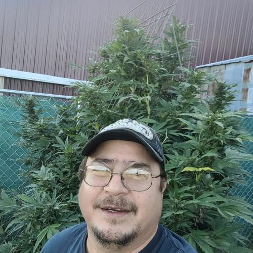 deaad6f5-95b6-4994-8548-d0e55f815112