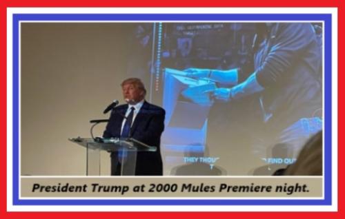 TRUMP AT 200 MULES