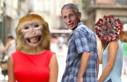 IMG-aca9a8e70a98bd629c87f5c18b7e9803-V