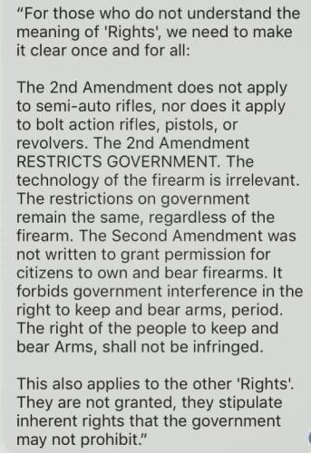 Gun rights 1