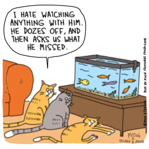 284444198_1404280476665536_7884907356209436025_n