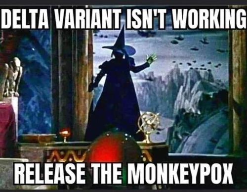 20:47:35 GMT-0500 (CDT).image