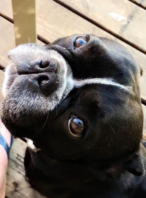 becd7233-8068-4918-ad23-00adc487ce3c