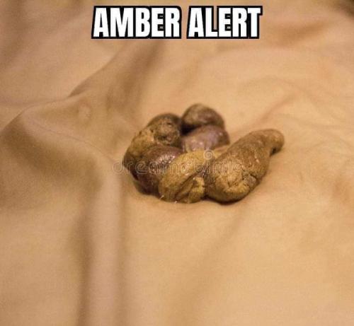 d4da93cc-7071-4a5d-931d-805d0509a003