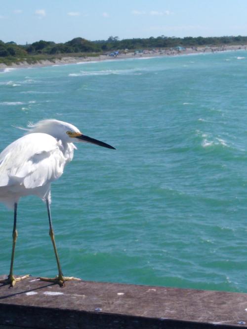 53e7acdd-0f53-49e2-88aa-ebae64ac12a9