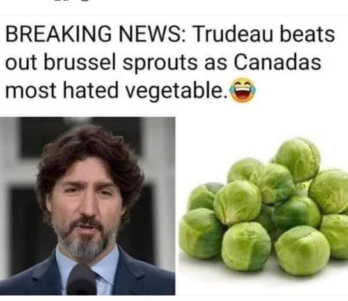 281084971_165197705896016_6194300563538287135_n