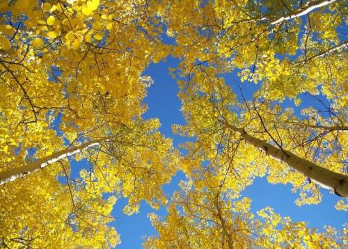 ba24fcec-0892-4d12-9b77-547cbe14aae7