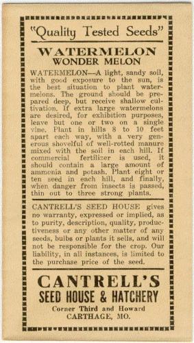 bc3bd811c849893c4887b1ea7f1605b3