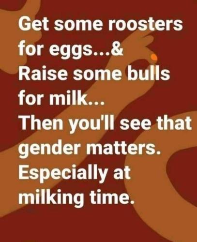 d7a540b7-761f-4b72-b1f1-f8233c1350f9