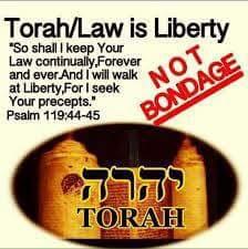 3fef803e-30b7-46bd-bedb-5c129b6ec6b3